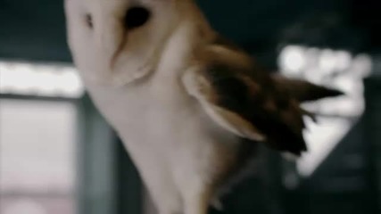 All That Remains - The Last Time