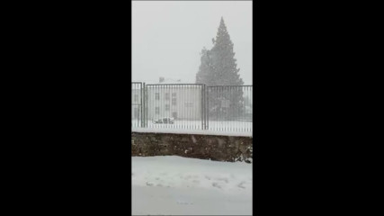 "Моята новина": Зимата в село Буново, Софийско