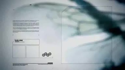 Историята на една пчела - Без ограничения!