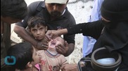 Big Drop in Pakistan Polio Cases