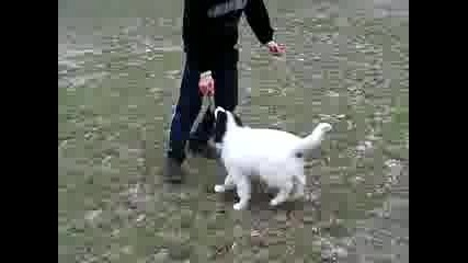 Max 5