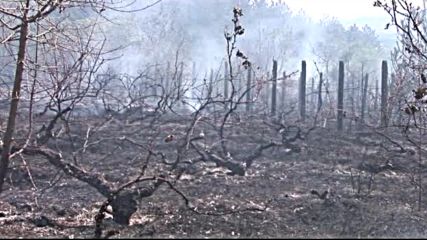 Два пожара лумнаха в Старозагорско