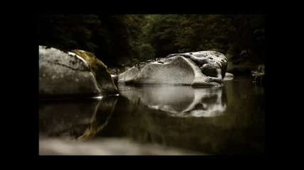 Mystical Rain
