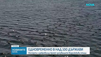 Започва броенето на водолюбиви птици