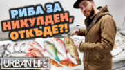 Най-добрите места за прясна и вкусна РИБА