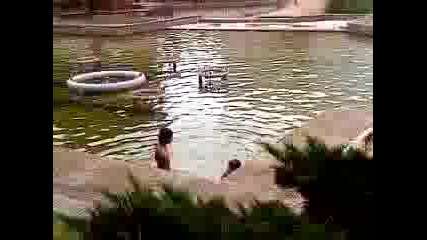 Dsc00068