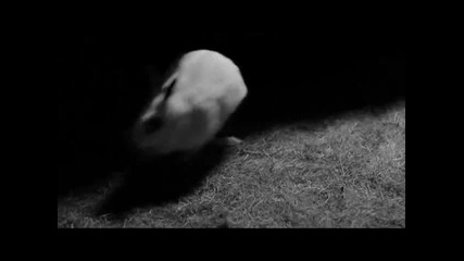 Monyx - Cofee Is Over | Offical Music Video - H Q |