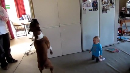 Бебета се кефят на кучета, които ловят мехурчета!