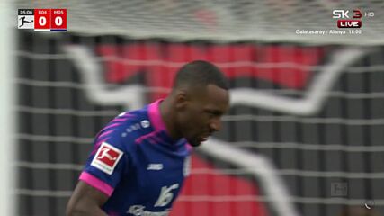 Bayer 04 Leverkusen vs. 1. FSV Mainz 05 - Game Highlights