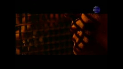 Камелия - Някой Ден