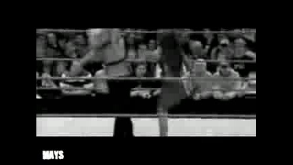 Trish Stratus