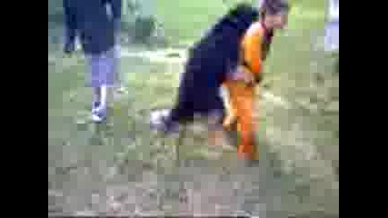куче гони деца и ги...