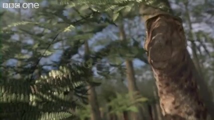 Планетата на Динозаврите - Nothronychus