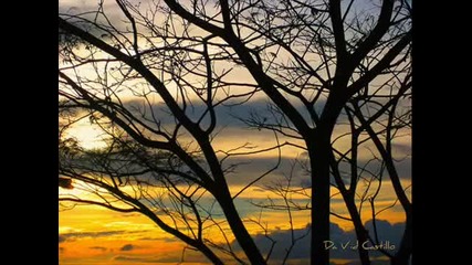 Ray Conniff - Sunrise, Sunset (fiddler on the Roof)