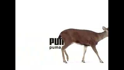 Puma Commercial Ad Spackle - Deer