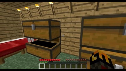 Minecraft Pro Survivor ep2