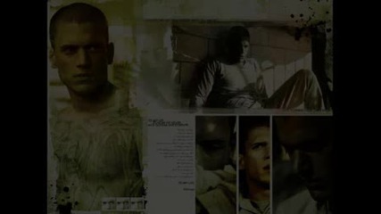 The Simpsons , Prison Break Or House Md
