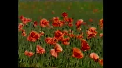 Тайната на изпитаниетоmp4