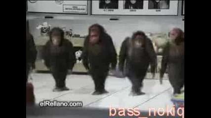 Яко Смях - Танцуващи Маймуни