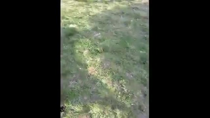 Baja 1000 в парка Младост