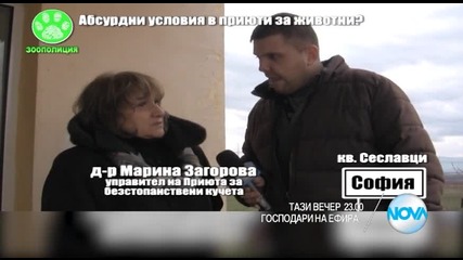 В „Господари на ефира” на 28 януари очаквайте