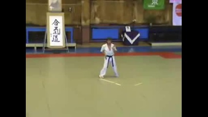 Shinkyokushin tameshiwari by sensei Hristo Terziev