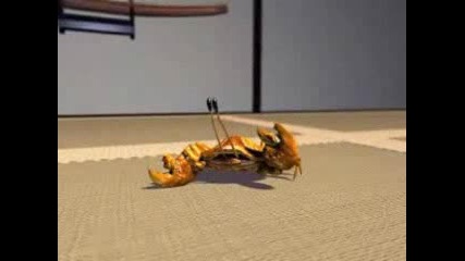 Crab - Kung Fu