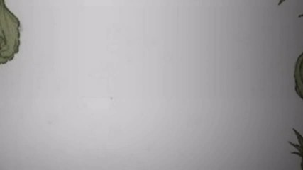 Timur Shafiev - Character (magnetic Brothers Remix) 