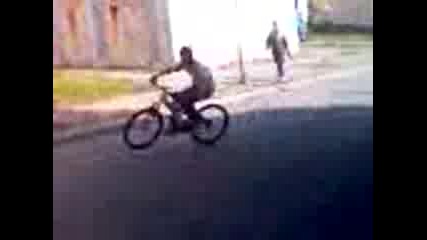 Joni 56