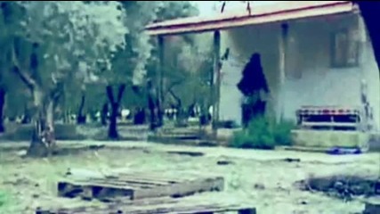 Kavak Yelleri - Asli % Guven 