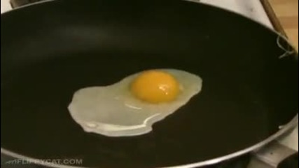 Пържено яйце домино 