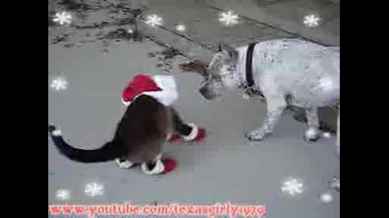Котка Обута В Коледни Ботуши