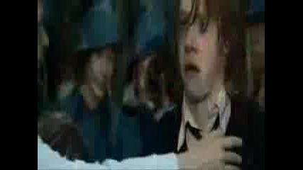 Ron Weasley - Candyman