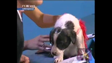 Коче И Кутка - Господари На Ефира, 26.09.2008