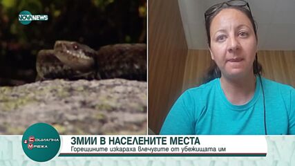 Заради горещините: Зачестиха появите на змии в населени места