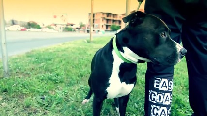 E.c.c.c. - Burgas ( Official video )