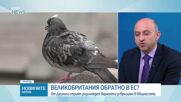 Тръмп оказва натиск върху Европа да освободи резерв от горива, в опит да свали цените в САЩ преди междинните избори, смята анали