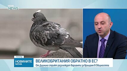 Тръмп оказва натиск върху Европа да освободи резерв от горива, в опит да свали цените в САЩ преди междинните избори, смята анали