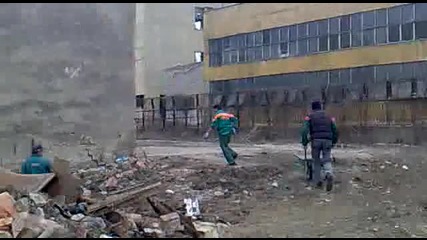 divaci te na firma rosi
