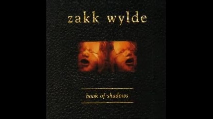 Zakk Wylde - Sold my soul