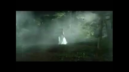Neylini - Muleina