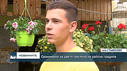 Оранжерия за цветя прилича на райска градина
