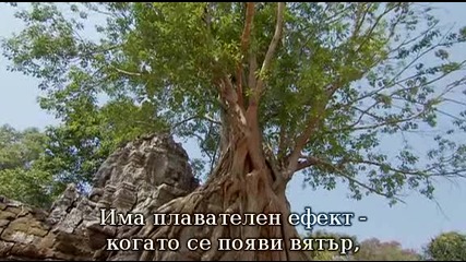 Life After People ( Животът след хората) - 3 част - 3 / 4