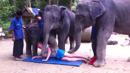 Слонове правят еротичен масаж!