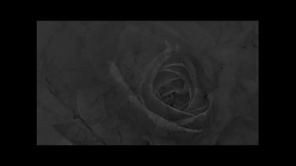 Ceca - Ona