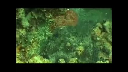 Майкъл Бей и екипа му посещават потъналия кораб Аризона