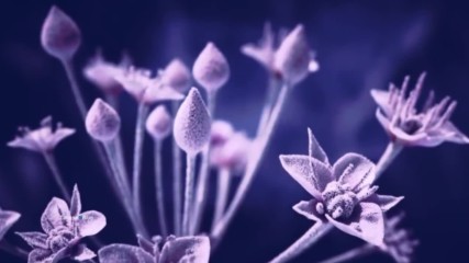 Most Beautiful Frozen Planet...