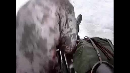Видео +18 