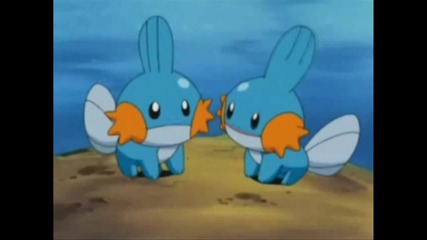 So I heard you like Mudkips /dubkips