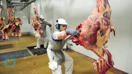 Dutch Prosecutors Demand 5-year Sentence for Meat Processer Accused of Selling Horse as Beef